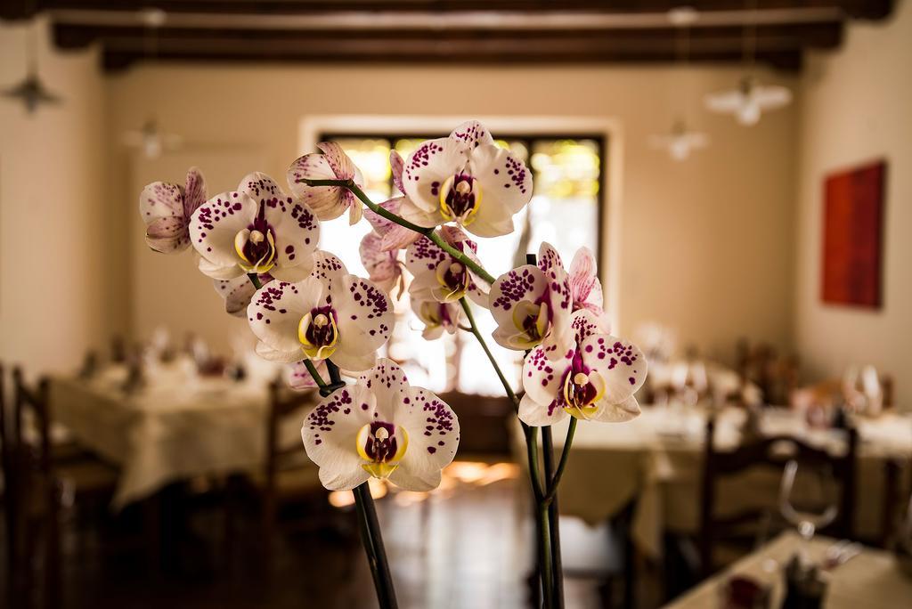 Charme Hotel Osteria Carletti Bedano Exterior photo